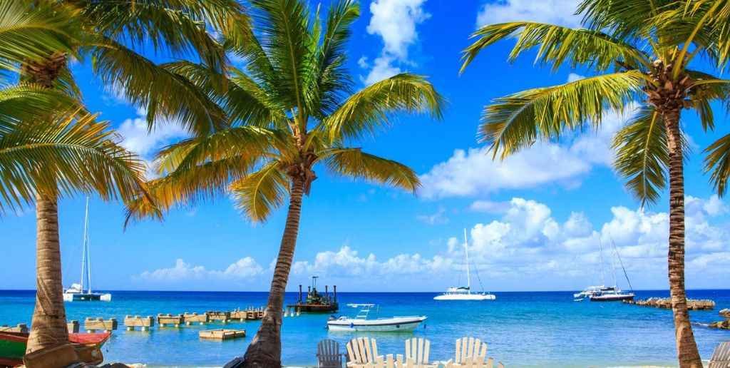Swiss Airlines Punta Cana Office In Dominican Republic