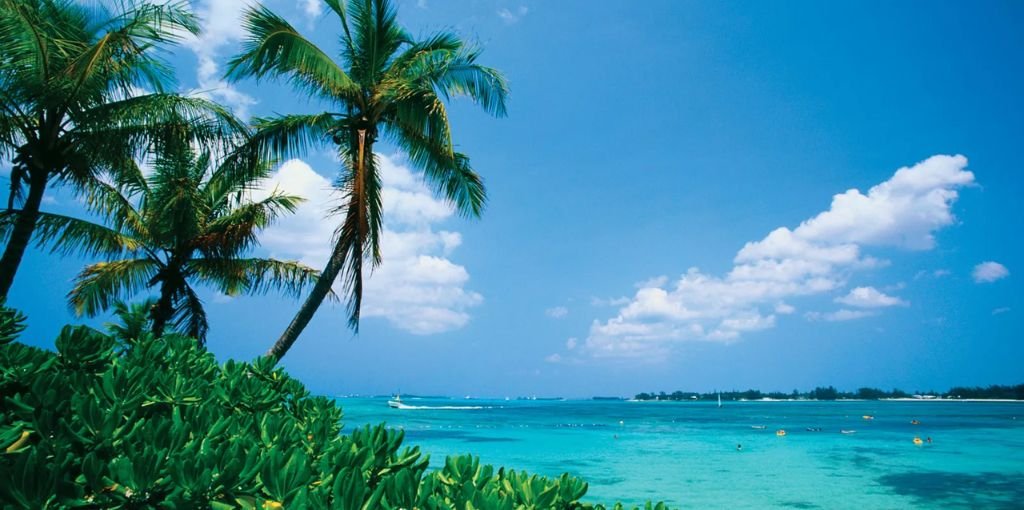 Allegiant Air Bahamas City Office