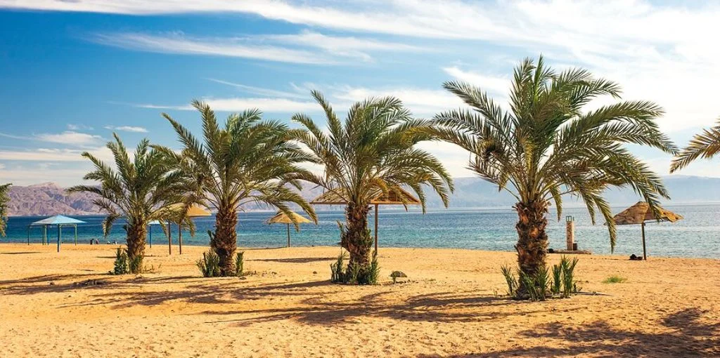 Wizz Air Aqaba City Office in Jordan