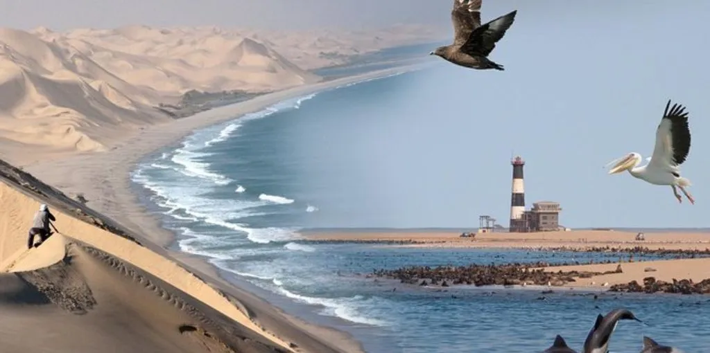 Airlink Airlines Walvis Bay City Office in Namibia